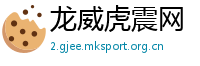 龙威虎震网